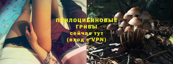 a pvp Алексеевка