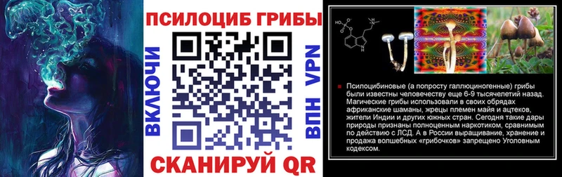 Галлюциногенные грибы Psilocybine cubensis  Черемхово 
