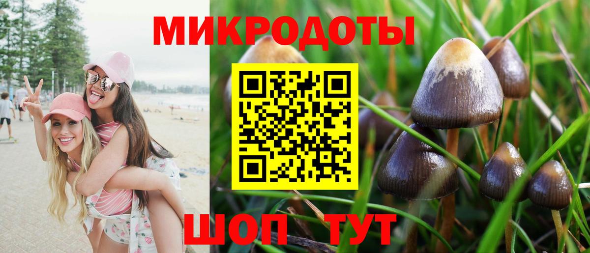Галлюциногенные грибы Psilocybe  Вход с VPN  где можно купить наркотик  Черемхово 