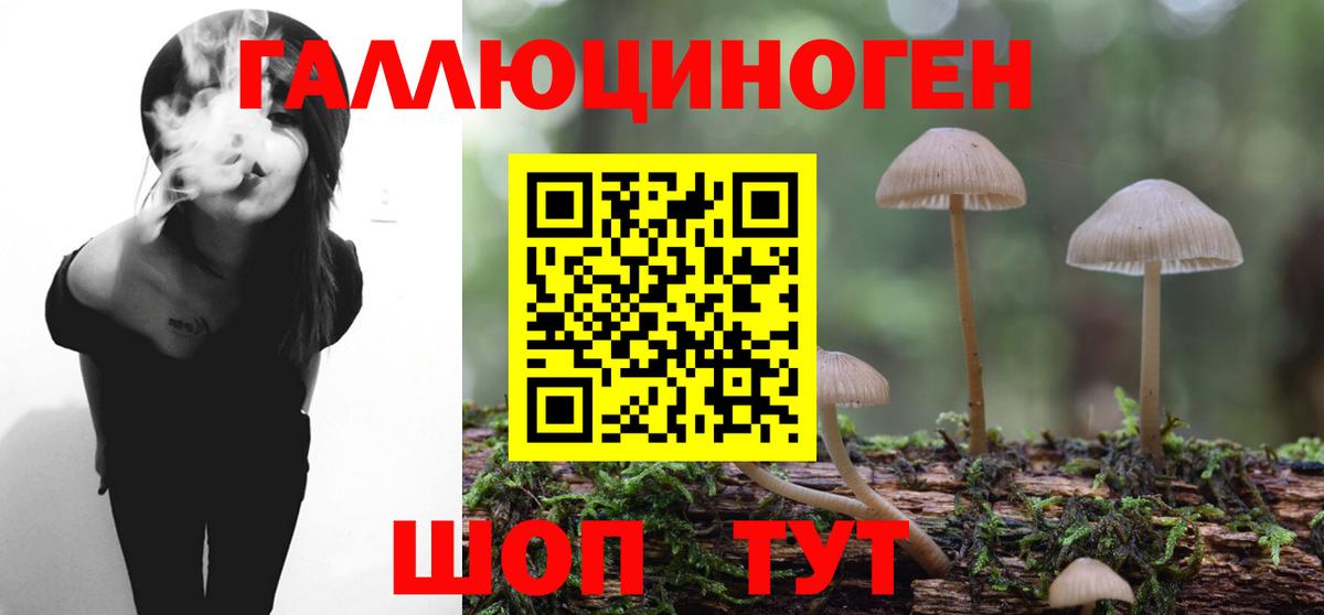 Галлюциногенные грибы Cubensis Черемхово
